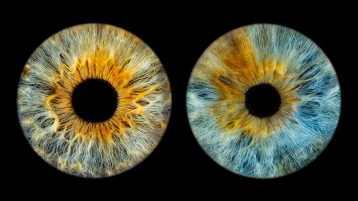 Iris Photography for 2 People