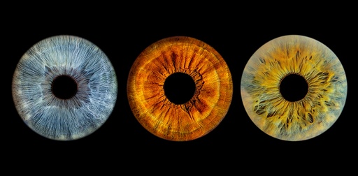 Iris Photography for 3 People